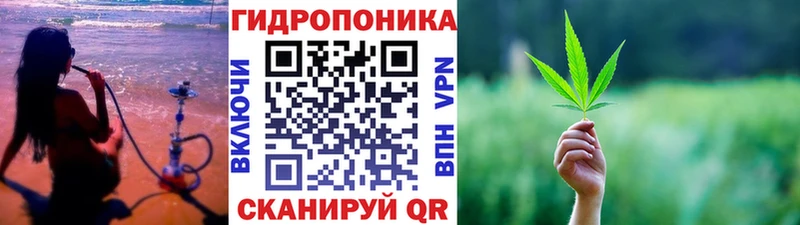 Псилоцибиновые грибы Малмыж
