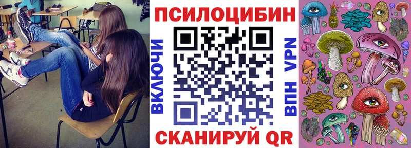 Купить где  Малмыж  Галлюциногенные грибы Cubensis 
